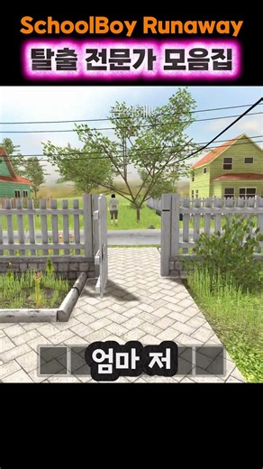 SchoolBoy Runaway Escape Expert