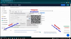 Bitcoin Fake Transaction Software || Best flash bitcoin software(RBF) 2022