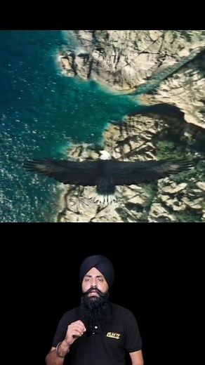 3.7M views · 10K reactions | JoT Tv Australia on Reels | Facebook