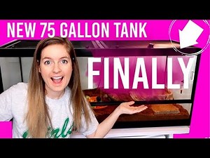 New 75 Gallon Reptile Tank Setup