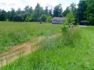 Yerfdog Spiderbox 150cc Go Kart Review Video