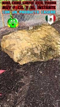 How and with what to clean dirty stones