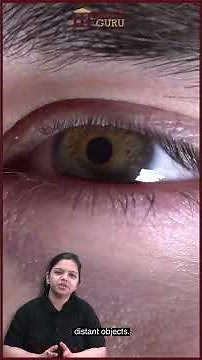 Structure of the Human Eye | How the Eye Helps Us See