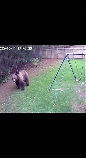 I Can’t Believe This Cat Did This… 😱