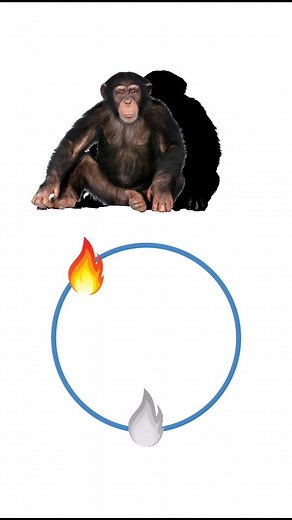 Sk Challenge 143 on Instagram