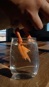 17K views · 17K reactions | Ducky adds a secret ingredient  . . . #duck #duckling #petduck #pet #petcare #petlife #petlovers #animals #cute | Ducks_in_space | Facebook