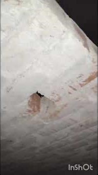 ghost 👻 caught in camera...see in the comments #funny#fun with friends////