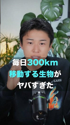 ニホンミツバチの化け物すぎる移動距離について＃日本ミツバチ＃ハチミツ＃ #昆虫 #雑学