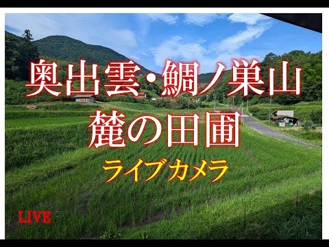 ☆鯛ノ巣山NOW☆ 奥出雲の山と田んぼライブカメラ 今日はどげかいな？ ＃さとる米 ＃仁多米 ＃島根県 ＃奥出雲 ＃たいのす ＃鯛ノ巣山 ＃ライブカメラ
