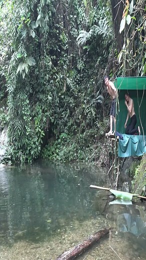 Amazing solo camping in the forest #reels | Amazing Adventures