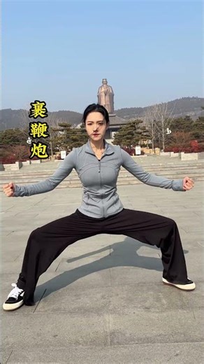 Chen Style Tai Chi forceful movements