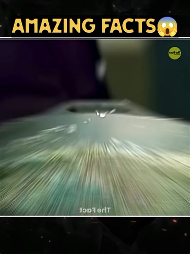 Amazing facts 😱 #shorts #fact #video #viral #foryoupage