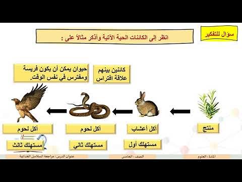 الصف الخامس العلوم مراجعة السلاسل الغذائية