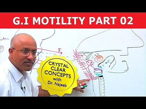 G I Motility | Gastrointestinal | Part 2