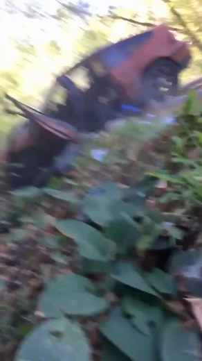 2.6M views · 61K reactions | This a classic  May 17th-19th the CMR Productions Team Presents Import Revival at Maple Grove! #chrismillerracing #cmrproductions #cmr #maplegroveraceway #raceway #dragway #dragracing #dragrace #racecar #race | Chris Miller Racing | Facebook