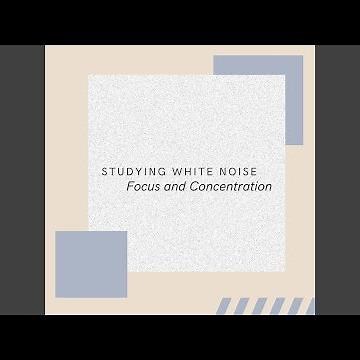 Studying White Noise: Focus and Concentration (P01)