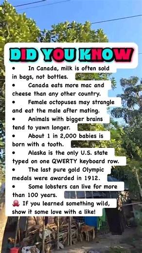 Canada and Nature’s Oddest Facts! #facts | Devlop's Puzzle Game