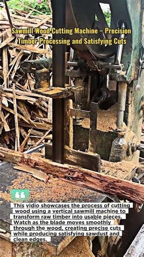 Sawmill Wood Cutting Machine – Precision Timber Processing and Satisfying Cuts