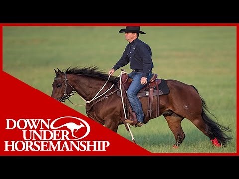 Clinton Anderson: How to Lengthen a Horse's Stride at the Canter - Downunder Horsemanship
