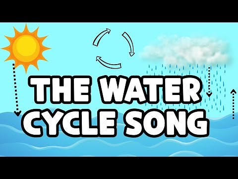 The Water Cycle Song! | Learn Evaporation, Condensation, and Precipitation (K-Pop Style)