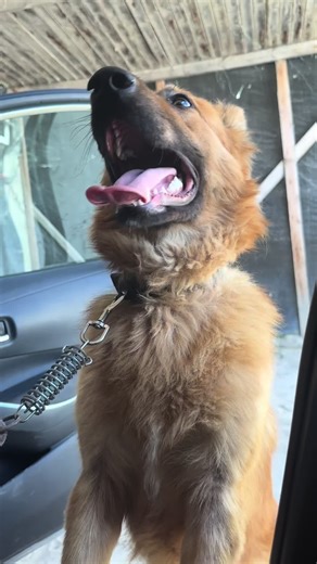 Marwan Hossam على TikTok