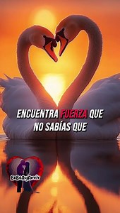 16K views · 467 reactions | "El amor que da fortaleza" "Descubre el...