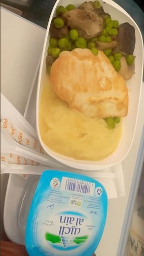 “What I Ate on My Flydubai Flight 🍴✨”