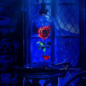 What a magical run it has been of Disney's Beauty and the Beast...just five performances remain! | Hobby Center