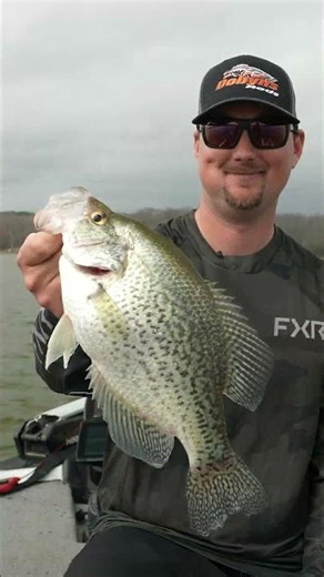 FISHING TOWNS: Kentucky Lake short