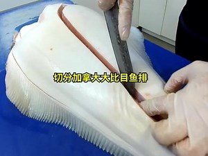加拿大大比目鱼烹饪视频（二）：大比目鱼排去皮切分备用#海鲜