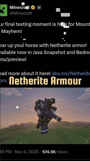 Netherite Horse armour and Zombie Coral Nautilus