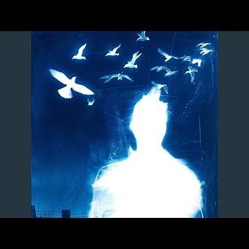 赛勒斯的爱 (我愿能以后捉紧你的手)