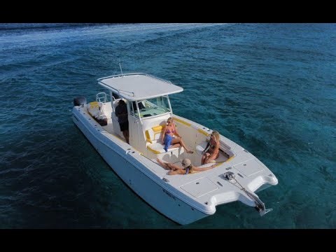 World Cat 320cc For Sale! Dock walk St. Thomas, VI