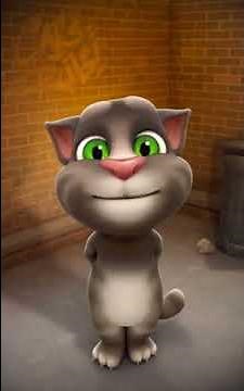 talking tom abcdefghijklmnopqrstuvwxyz qwertyuiopasdfghjklzxcvbnm