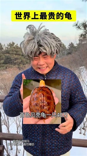 The most expensive turtle in the world#Never expected#The content is too real#I m goin