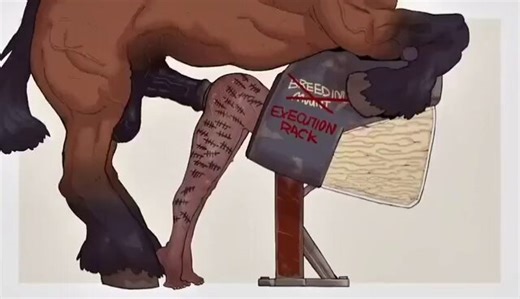 @Birb0922 Stuck as the permanent breeding stock for our stallions~ Forced to devour cum everyday of your life and give birth to healthy monsters~