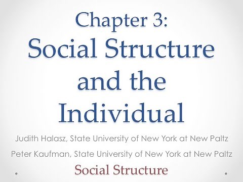 A Sociology Experiment Chapter 3, Part 1: Social Structure