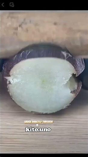 🌿 Dive into quick farming hacks with our bite-sized tips #farming #farm #plants #grafting