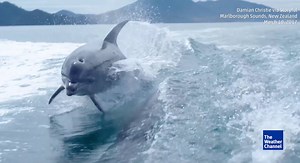 23K reactions · 8.6K shares | Absolutely amazing! | The Weather Channel | Facebook