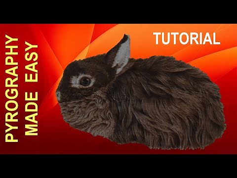 Pyrography Wood Burning - Rabbit with Long Black Fur - pyrography tutorial
