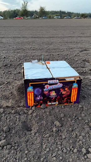 2.3K views · 928 reactions | Fiesta Dorada - El Gato 拾 | PyroFreaak96 | Facebook