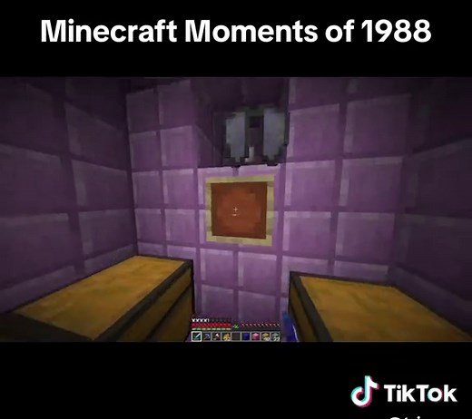 Minecraft Moments of 1988