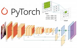 这是我看过最强的深度学习实战！使用pytorch实现CNN卷积神经网络 这个大佬是真的想教会我！