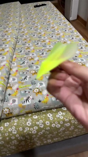 P-03 Rival by Foldable Flight Flight Test