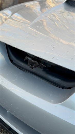 Dylan on Instagram: "The SN95 “New Edge” Mustang GT, produced from 1999 to 2004, featured Ford’s updated 4.6-liter SOHC V8, delivering 260 horsepower and 302 lb-ft of torque—an improvement over earlier SN95 models thanks to its Performance Improved (PI) heads and intake. Paired with the robust Tremec TR-3650 5-speed manual transmission (or the T-45 in some early ’99–’01 cars), it offered a classic, mechanical driving feel with a distinct American V8 soundtrack. The New Edge styling brought sharp