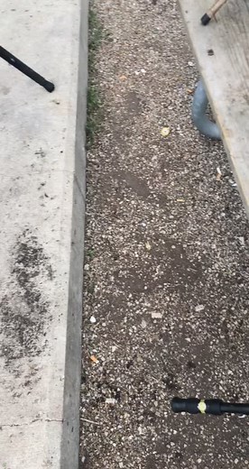 First time for everything #catfishing #countrylife #iowa #fyp the monsters are starting to wake up