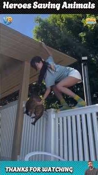 15 Heartwarming Animal Rescues That Will Restore Your Faith in Humanity ❤️ Part 40