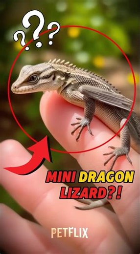 THIS LIZARD Grew DRAGON WINGS?! 🐉 You Have To See This! #shorts #pets #animals #viral