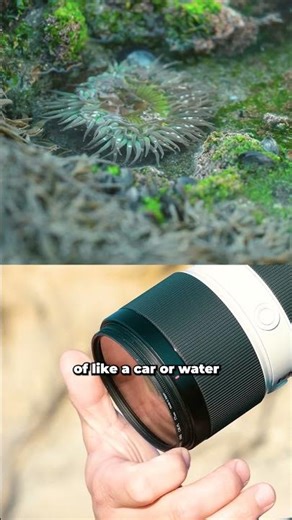 The Circular Polarizer you need