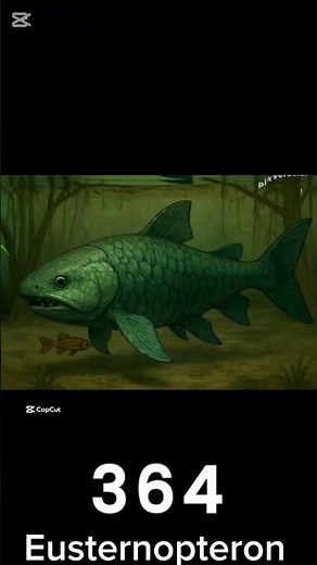 Evolution Of Elephants